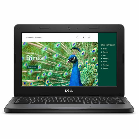 Dell Technologies Chromebook 3120