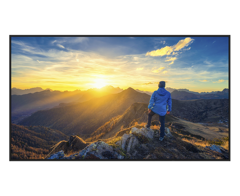 Sharp Electronics 55" 4K UHD Professional Display